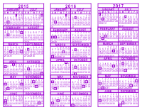 Purple 3 Year Calendar - 2015 - 2016 - 2017
