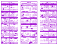 Purple 3 Year Calendar - 2016 - 2017 - 2018