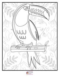 Birds Coloring Pages 1B