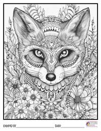 Mandala Coloring Pages 13 - Colored By