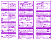 Purple 3 Year Calendar - 2019 - 2020 - 2021