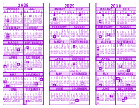 Purple 3 Year Calendar - 2028 - 2029 - 2030