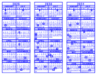 Blue 3 Year Calendar - 2029 - 2030 - 2031