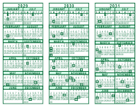 3 Year Calendar - 2029 through 2031