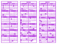 Purple 3 Year Calendar - 2029 - 2030 - 2031