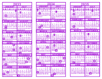 Purple 3 Year Calendar - 2033 - 2035 - 2034