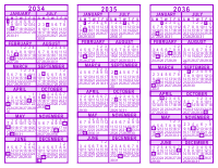 Purple 3 Year Calendar - 2034 - 2035 - 2036