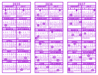 Purple 3 Year Calendar - 2035 - 2036 - 2037
