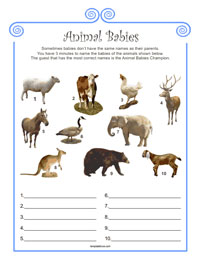 Baby Shower Game - Baby Blue Border