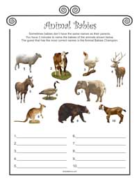 Animal Babies Baby Shower Game