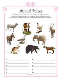 Pink Baby Shower Game