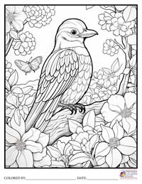 Birds
 Coloring Pages for Adults 8 - Colored By