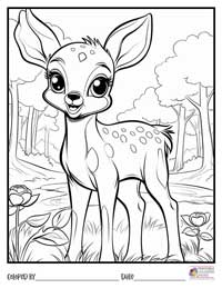 Animals Coloring Pages