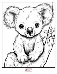 Animals Coloring Pages 10B