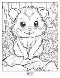 Animals Coloring Pages 10B