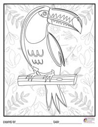 Birds Coloring Pages