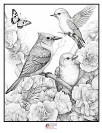 Birds Coloring Pages 10B