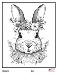 Bunny Coloring Pages 7 - Colored By