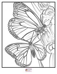 Butterfly Coloring Pages 10B