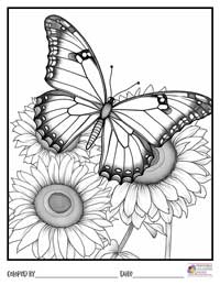 Butterfly Coloring Pages