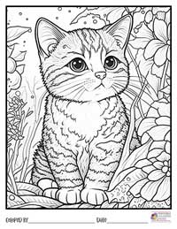 Cats Coloring Pages