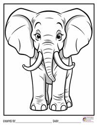Elephant Coloring Pages