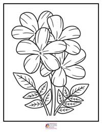 Flowers Coloring Pages 11B