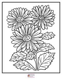 Flowers Coloring Pages 10B