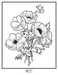 Flowers Coloring Pages 10B