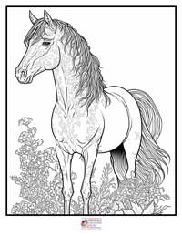 Horses Coloring Pages 10B