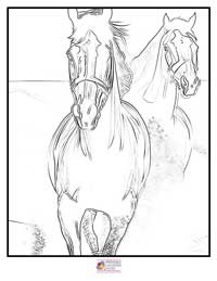 Horses Coloring Pages 19B