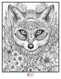 Mandala Coloring Pages 13B