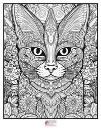 Mandala Coloring Pages 15B