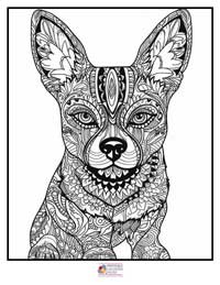 Mandala Coloring Pages 17B