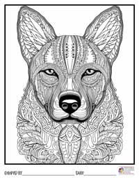 Mandala Coloring Pages 19 - Colored By