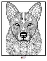 Mandala Coloring Pages 19B