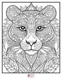 Mandala Coloring Pages 10B