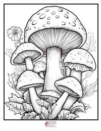 Mushrooms Coloring Pages 10B