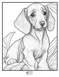 Puppy Coloring Pages 10B