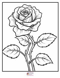 Rose Coloring Pages 10B