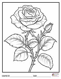Rose Coloring Pages