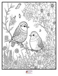 Spring Coloring Pages 10B