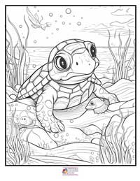 Turtle Coloring Pages 10B
