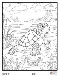 Turtle Coloring Pages