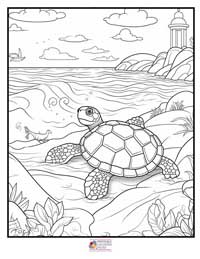 Turtle Coloring Pages 10B