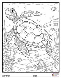Turtle Coloring Pages 6 - Colored By