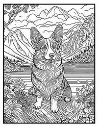 Corgi Coloring Page 10 With Border