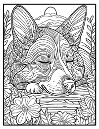 Corgi Coloring Page 3 With Border