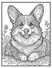 Corgi Coloring Pages for Adults and Teens