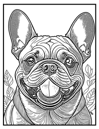 French Bulldog Coloring Pages for Adults and Teens